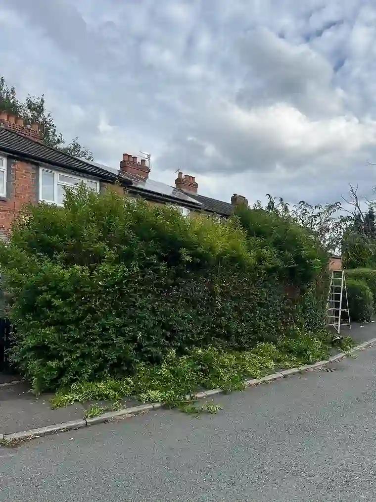 Garden transformation before — overgrown hedge, by GTH Maintenance Manchester