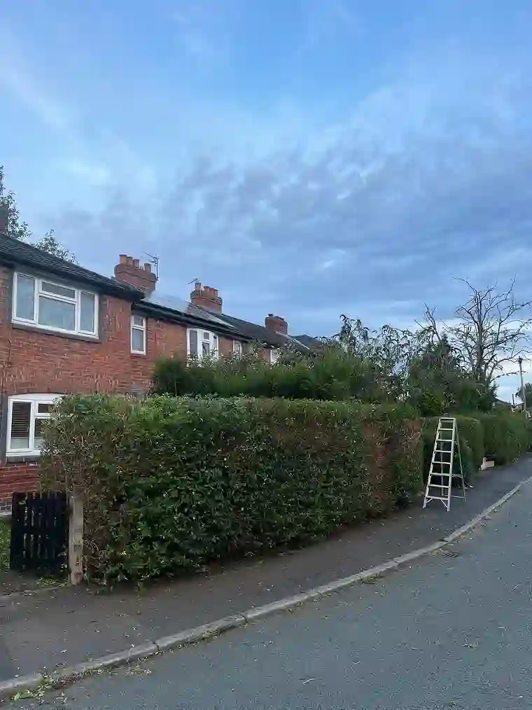 Garden transformation in progress — hedge being cut back, by GTH Maintenance